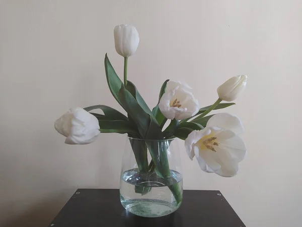 Strauß Weißer Tulpen Mit Blättern Glasvase — Stockfoto