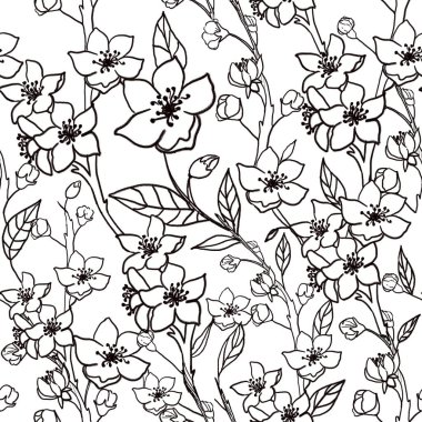 siyah çizgi deseni ve sakura çiçekleri