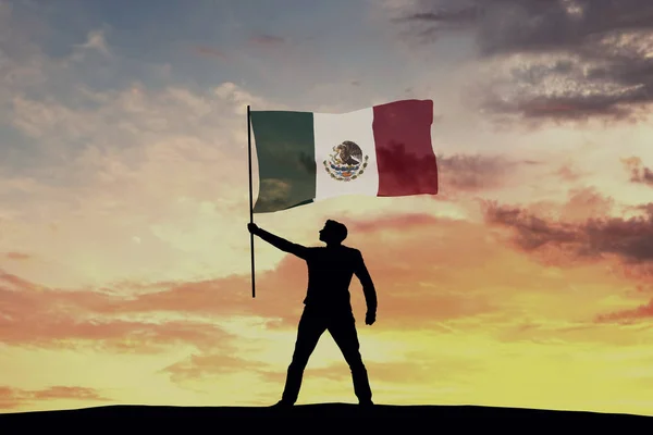 Silhouette Masculine Agitant Drapeau Mexicain Rendu — Photo