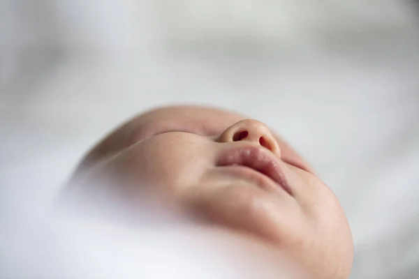 Close up of a cute young baby laying in a crib. Low angle view — Stock Photo, Image