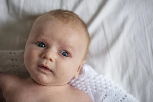 A portrait of a cute young baby boy laying on their back — Stock Photo, Image