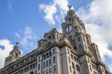 View of the iconic Royal Liver Building in Liverpool, UK
