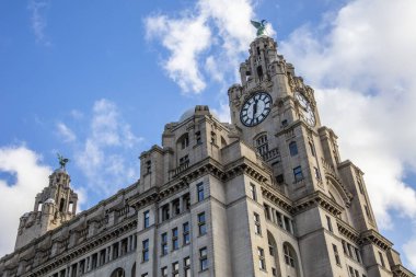 View of the iconic Royal Liver Building in Liverpool, UK clipart