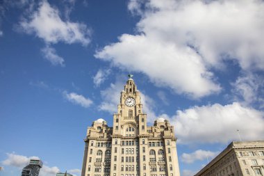 View of the iconic Royal Liver Building in Liverpool, UK