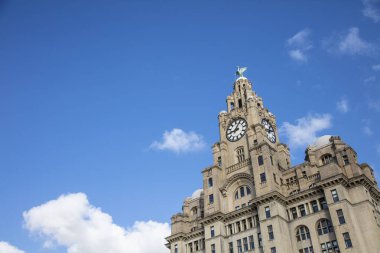 View of the iconic Royal Liver Building in Liverpool, UK