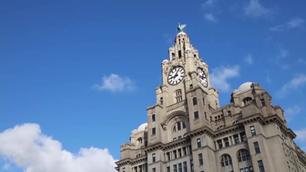 Liverpool, Storbritannien - 30 oktober 2019: Utsikt över den ikoniska Royal Liver Building i Liverpool, Storbritannien — Stockvideo