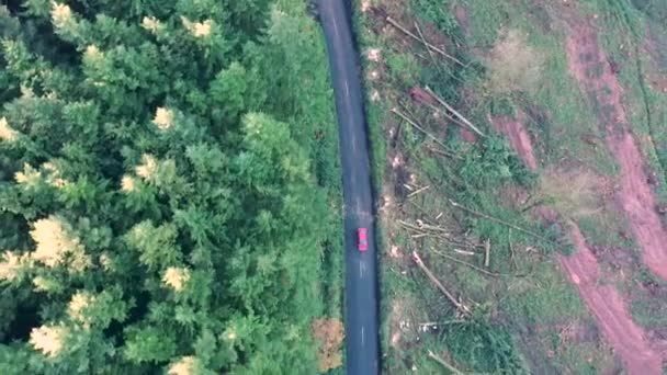 Luchtfoto van een weg door een bos die door ontbossing is verwoest — Stockvideo