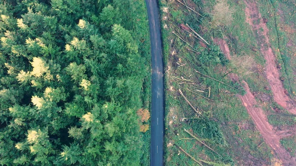 Veduta aerea di una strada attraverso una foresta distrutta dalla deforestazione — Foto Stock