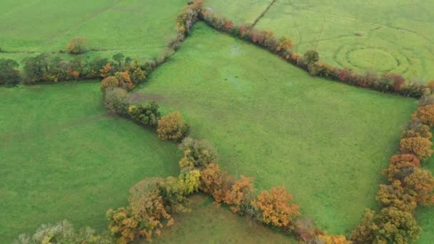 Drone vlucht over groene velden in het Verenigd Koninkrijk — Stockvideo