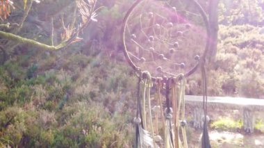 Ağaçta asılı duran yavaş çekim düş kapanı. Boho doğal tarzı