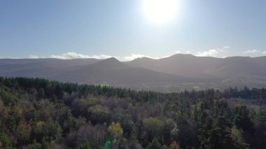 İrlanda 'nın Tipperary ilçesinde güzel dağ manzarası ve aherlow deresi