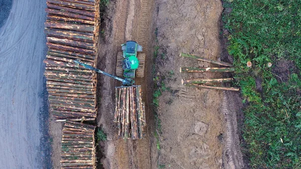 A kereskedelmi fakitermelő gép kivágott fatörzseket gyűjt. Légi felülnézet — Stock Fotó