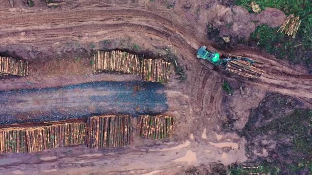 Luchtfoto van commerciële houtkap. Aanhangwagen met logboeken die door modderig pad rijden — Stockvideo