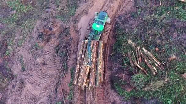 Drewno transportowane jest po błotnistym torze ciężkimi maszynami. Widok z lotu ptaka — Wideo stockowe