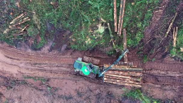 Commerciële houtkapmachine verzamelt gekapte boomstammen. Bovenaanzicht vanuit de lucht — Stockvideo