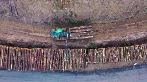 Vista aérea de troncos apilados por maquinaria pesada en un sitio de madera comercial — Vídeos de Stock