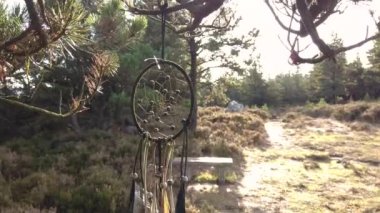 Ağaçta asılı bir düş kapanı. Boho doğal tarzı