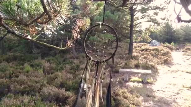 Un acchiappasogni appeso ad un albero. Boho stile naturale — Video Stock