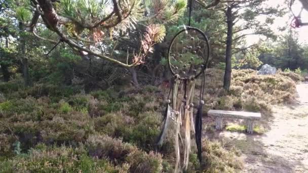 Un atrapasueños colgado en un árbol. Estilo natural boho — Vídeo de stock