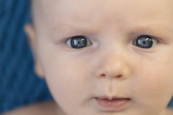 Close up of a blue eye of a 3 month old baby boy — Stock Photo, Image