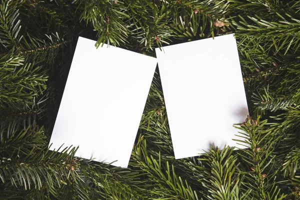 Ветки елки лежали на плоском фоне с пустой белой картой — стоковое фото