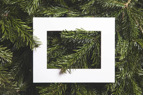 Weihnachtsbaumzweige lagen flach hinterlegt mit leerer weißer Karte — Stockfoto