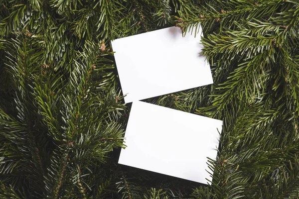 Vánoční strom větve ležel ploché pozadí s prázdnou bílou kartou — Stock fotografie