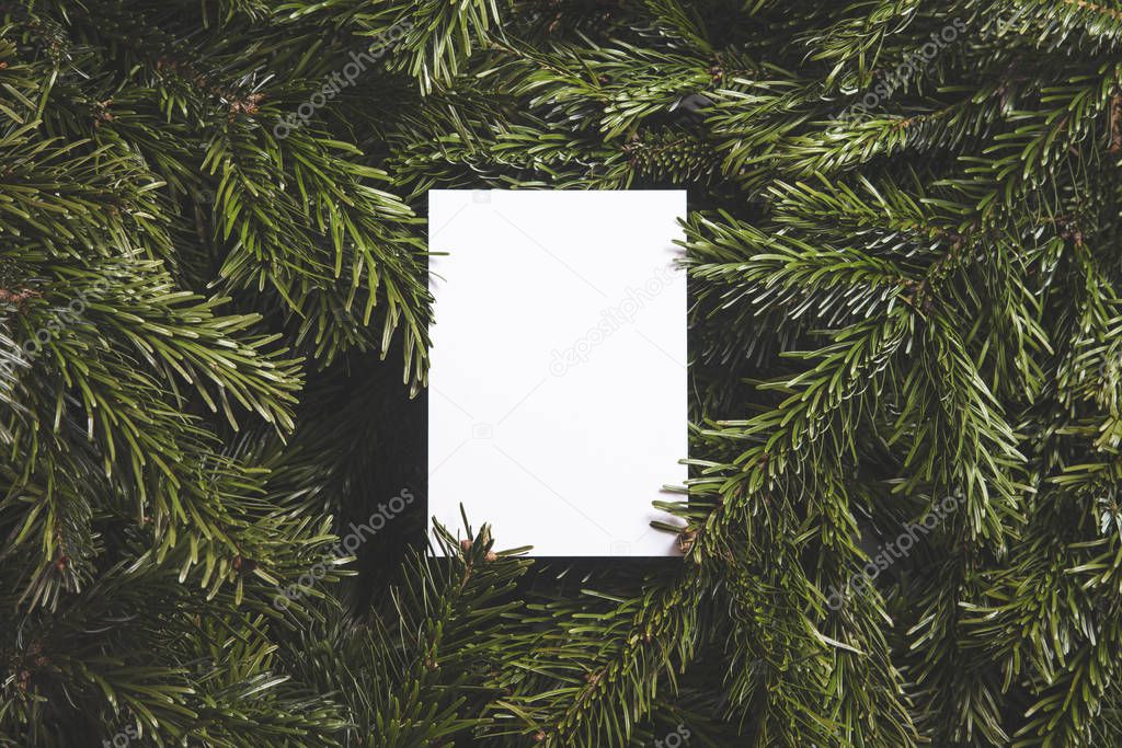Christmas tree branches lay flat background with blank white card