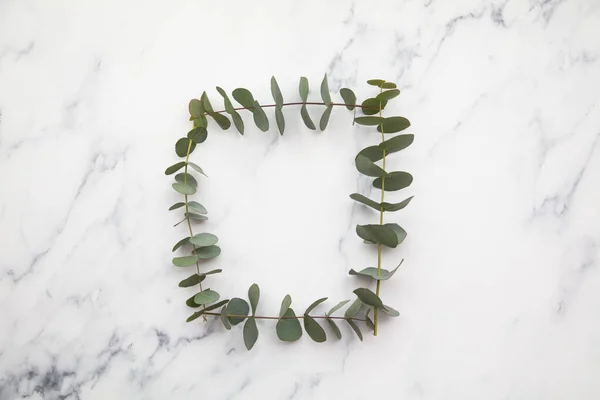 Frame van eucalyptus bladeren op een marmeren achtergrond. Ga plat liggen. — Stockfoto