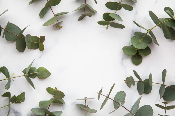 Frame van eucalyptus bladeren op een marmeren achtergrond. Ga plat liggen. — Stockfoto