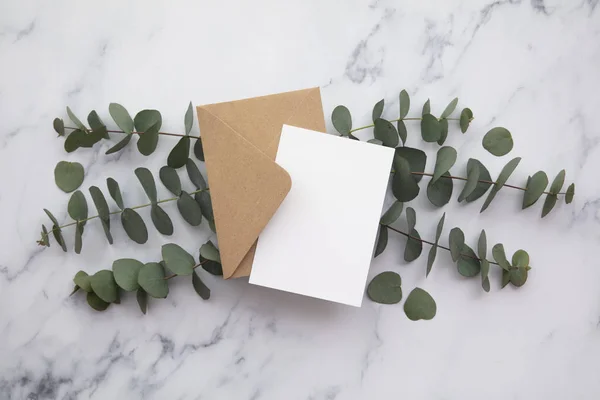 空白的白色卡片和装有桉树叶子的信封。 空白邀请函. — 图库照片