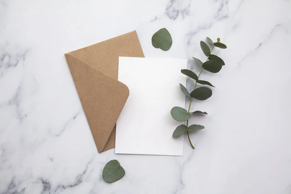 Tomma vita kort och kuvert med eukalyptusblad. Blank inbjudan. — Stockfoto