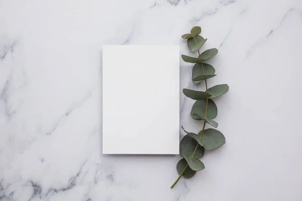 Blank white invitation stationery card with eucalyptus leaves.