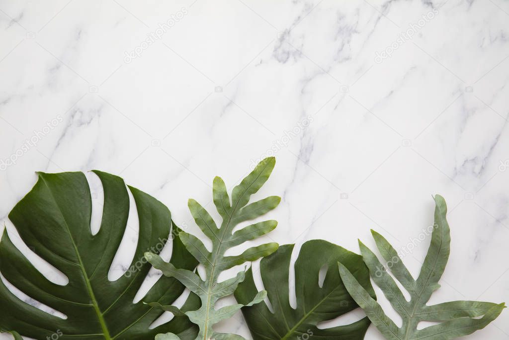 Topical jungle leaves on a modern marble background