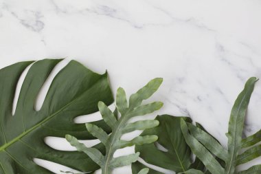 Topical jungle leaves on a modern marble background