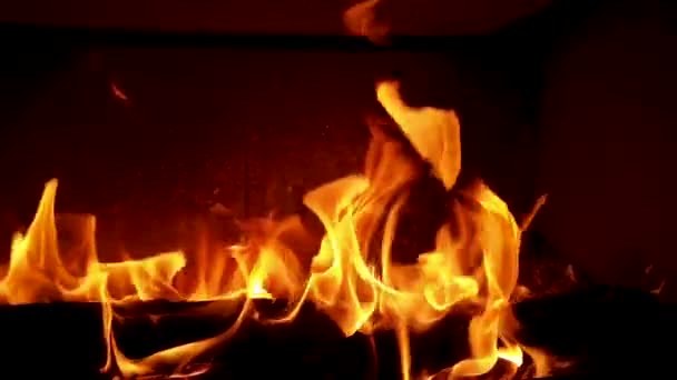 Flammes à mouvement lent provenant d'un poêle à cheminée — Video