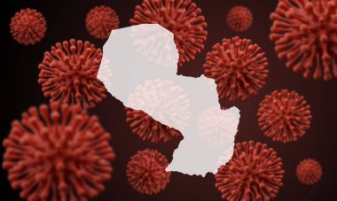 Paraguay haritası bilimsel bir virüs mikrop arka planında. 3B Hazırlama