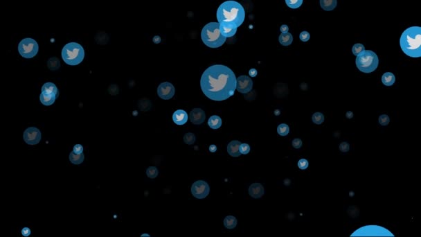 Londýn, Uk - 26. února 2019: Twitter logo sociálních médií prolétá animací — Stock video