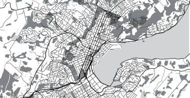 Şehir vektör şehir haritası Dunedin, Yeni Zelanda