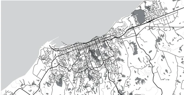 Mappa città vettoriale urbana di New Plymouth, Nuova Zelanda — Vettoriale Stock