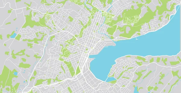 Mapa da cidade de vetor urbano de Dunedin, Nova Zelândia — Vetor de Stock