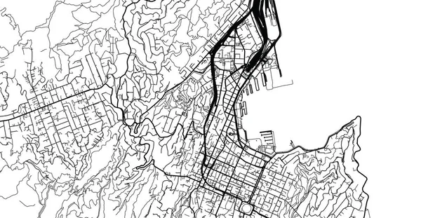 Mapa da cidade de vetor urbano de Wellington, Nova Zelândia — Vetor de Stock