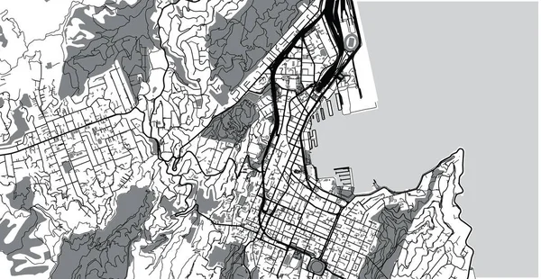 Městská vektorová mapa Wellingtonu, Nový Zéland — Stockový vektor