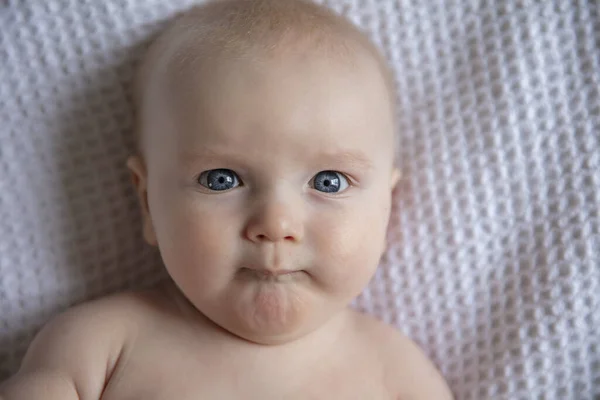 Κοντινό πλάνο ενός αξιολάτρευτου 6μηνου μωρού με μπλε μάτια που κοιτάζει την κάμερα — Φωτογραφία Αρχείου