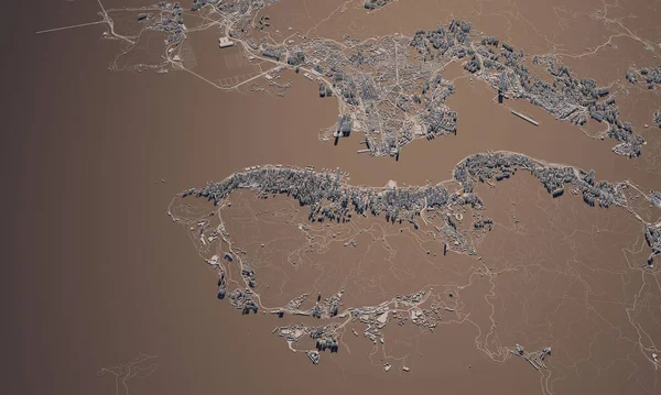 Hong Kong mapa města 3D vykreslování. Letecký satelitní pohled. — Stock fotografie