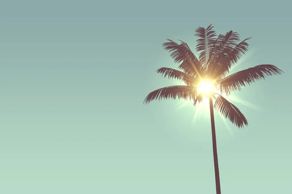 Tropische palmboom silhouet tegen fel zonlicht. 3d destructie — Stockfoto