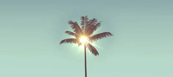Silueta de palmera tropical contra la luz solar brillante. renderizado 3d —  Fotos de Stock