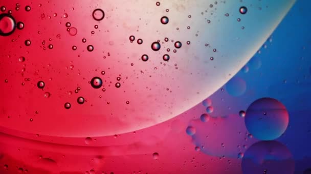 Abstraktes farbenfrohes, kreatives Makroöl und Wasserhintergrund mit Blasen. — Stockvideo