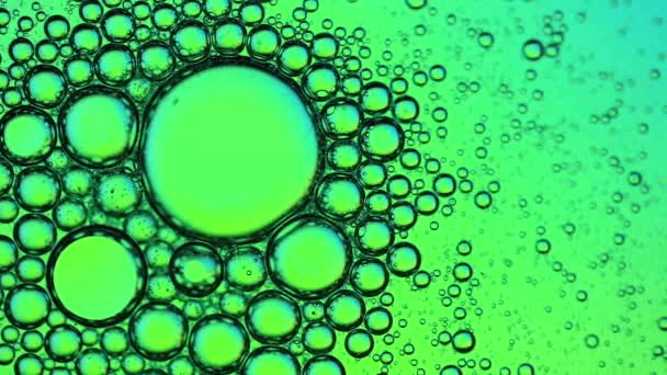Abstrakt färgstark kreativ makro olja och vatten bakgrund med bubblor. — Stockvideo
