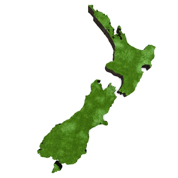 Karte von Neuseeland mit Gras und Erde. 3D-Rendering — Stockfoto